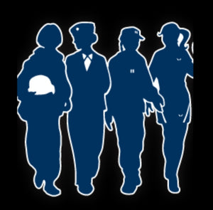 Air Force WOF Sticker 3 pack Blk/Olive/Blue - FREE SHIPPING